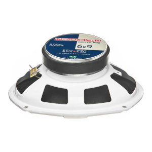 6X9″ ESV 220 – Ultrapark Group