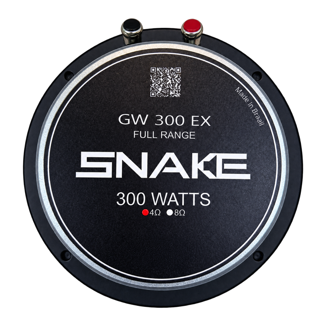 6" GW 300 EX - Imagem 3