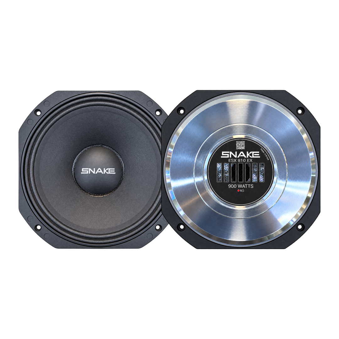 10" ESX 810 EX