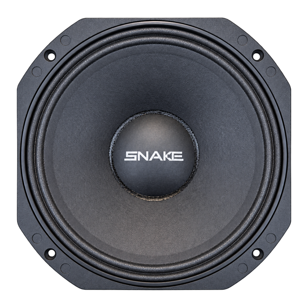 10" ESX 810 EX - Imagem 2
