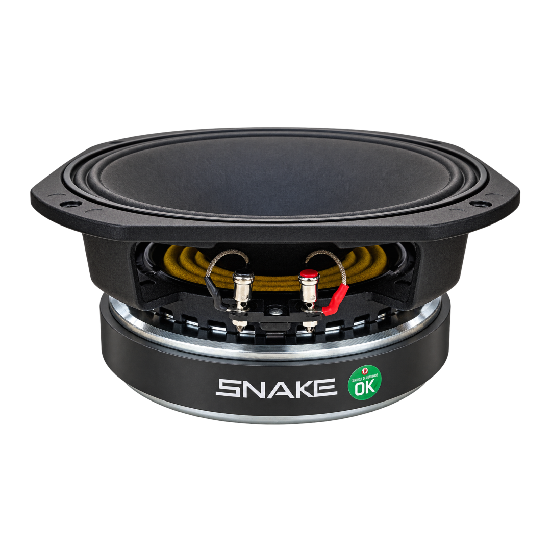10" ESX 810 EX - Imagem 4